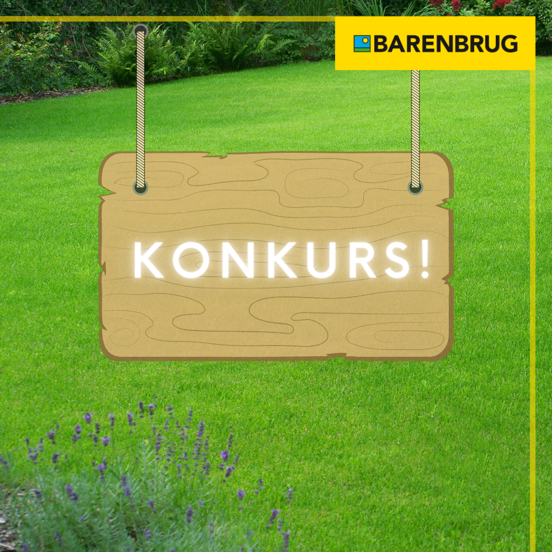 konkurs barenbrug (1).png